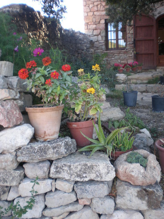 Mas del Salin Villa Cornudella de Montsant Exterior foto